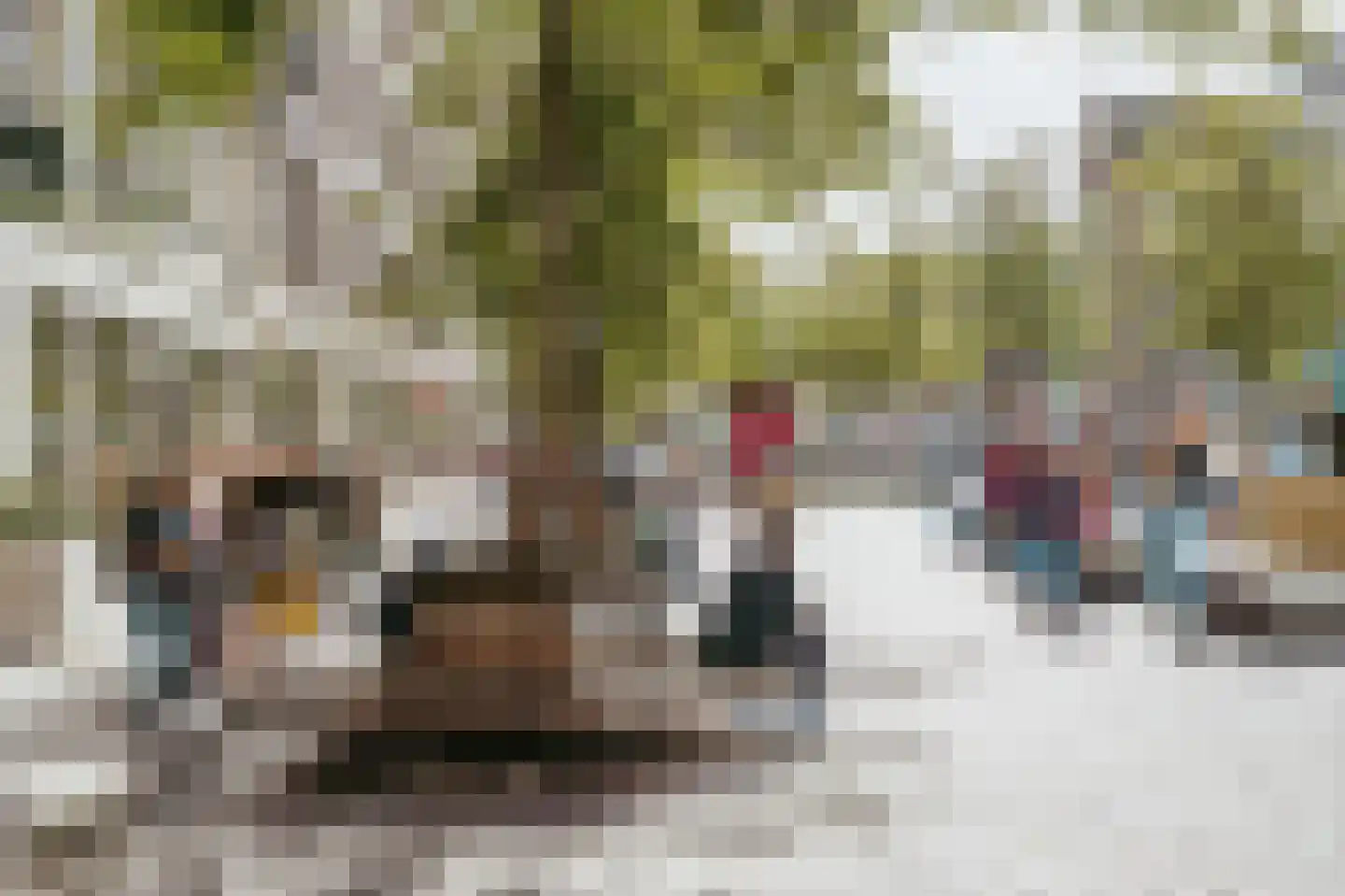 Singel 455 G Amsterdam thumbnail 33