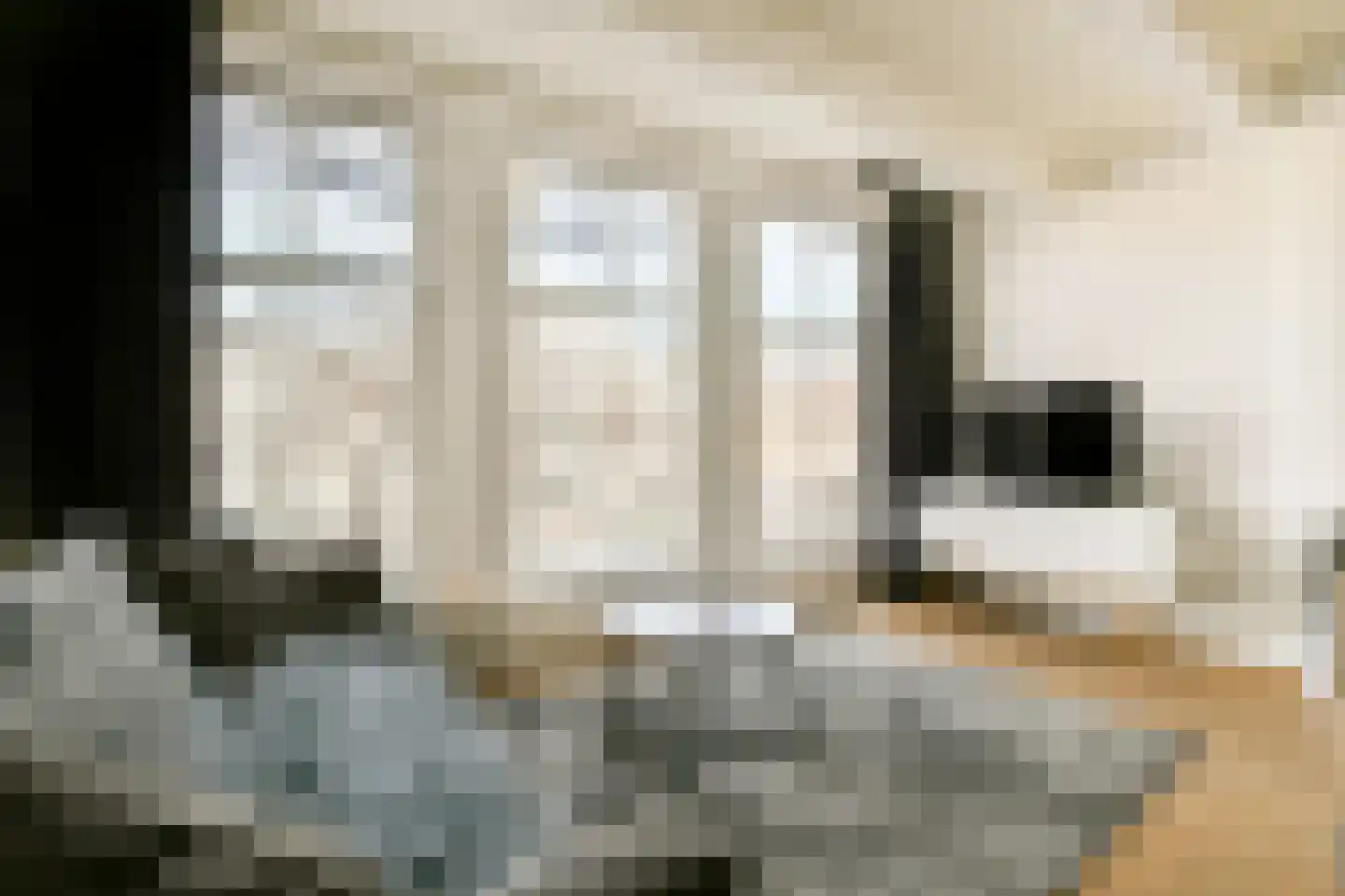 Singel 484 C Amsterdam thumbnail 4