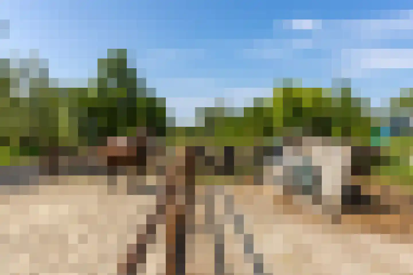 Singel 5 Nieuwpoort thumbnail 15