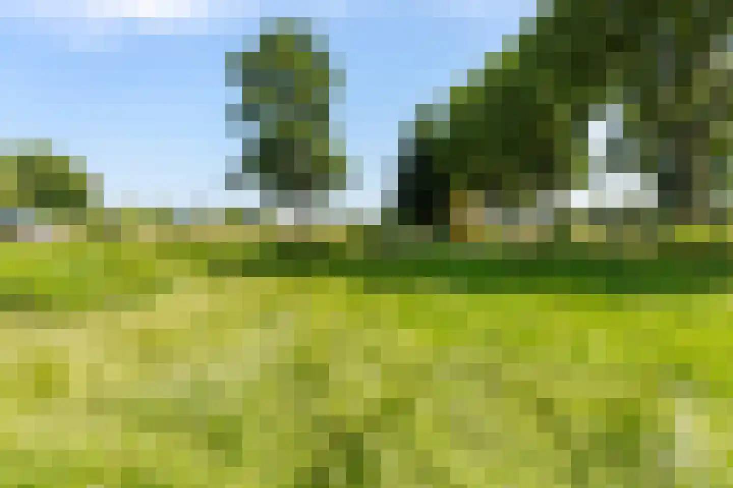 Singel 5 Nieuwpoort thumbnail 17