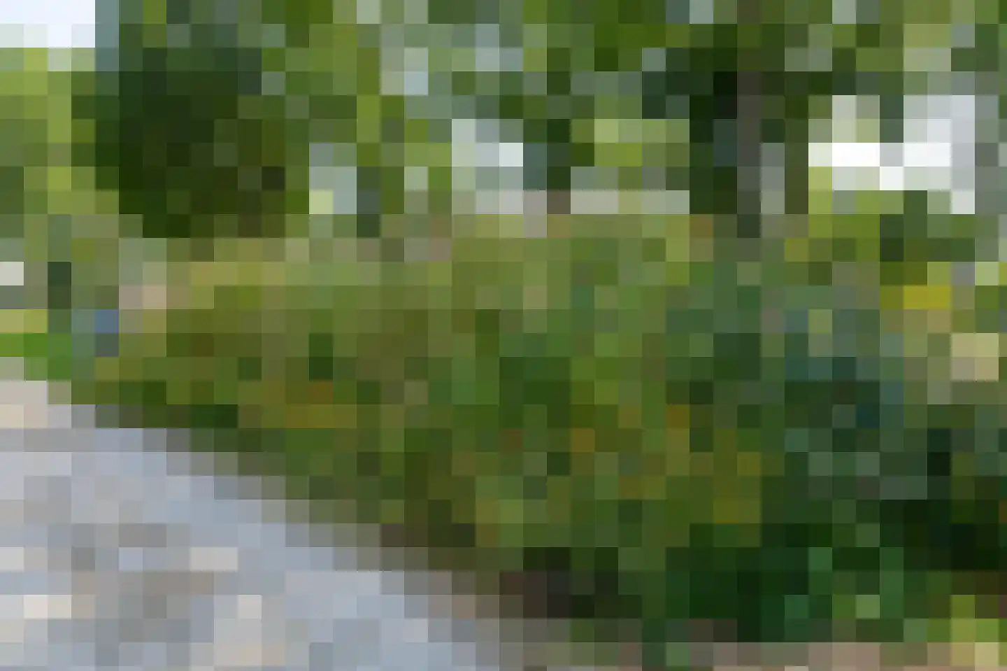 Singel 5 Nieuwpoort thumbnail 9