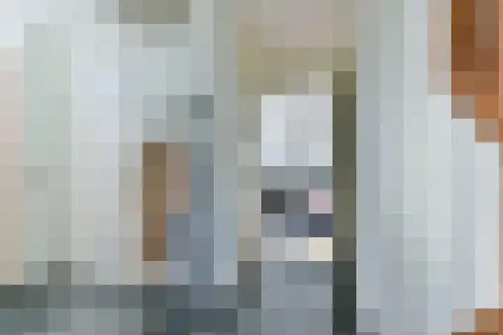 Singel 50 Odijk thumbnail 13
