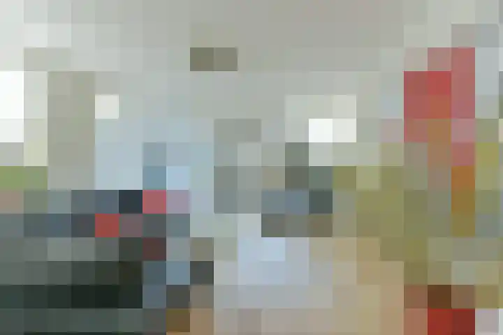 Singel 50 Odijk thumbnail 16