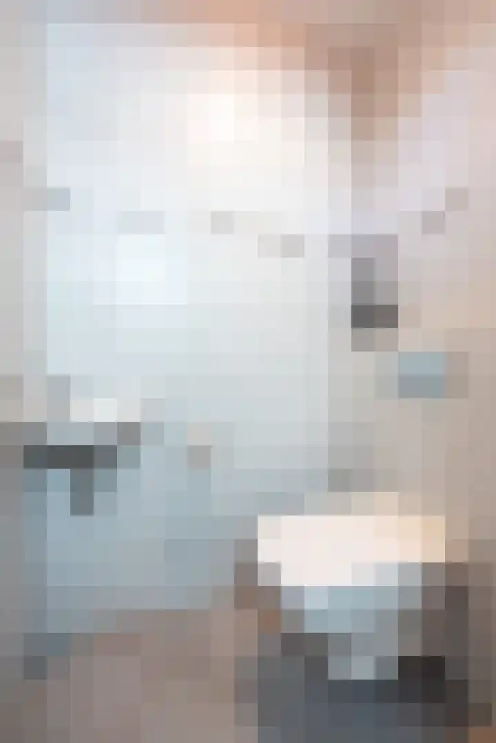Singel 50 Odijk thumbnail 25