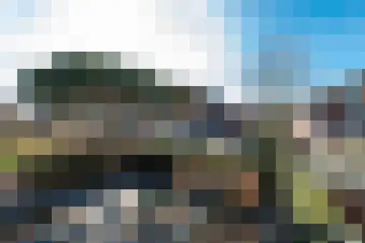 Singel 50 Odijk thumbnail 31