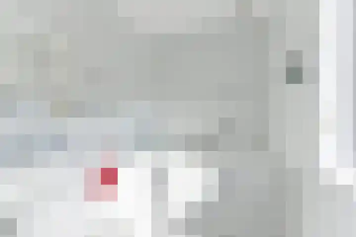 Singel 50 Odijk thumbnail 33