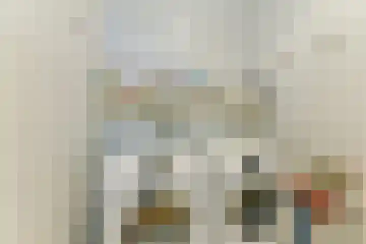 Singel 50 Odijk thumbnail 38