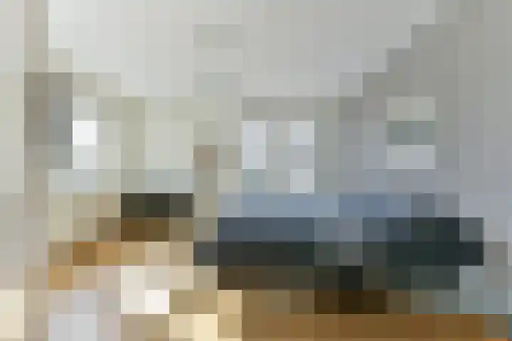 Singel 50 Odijk thumbnail 4