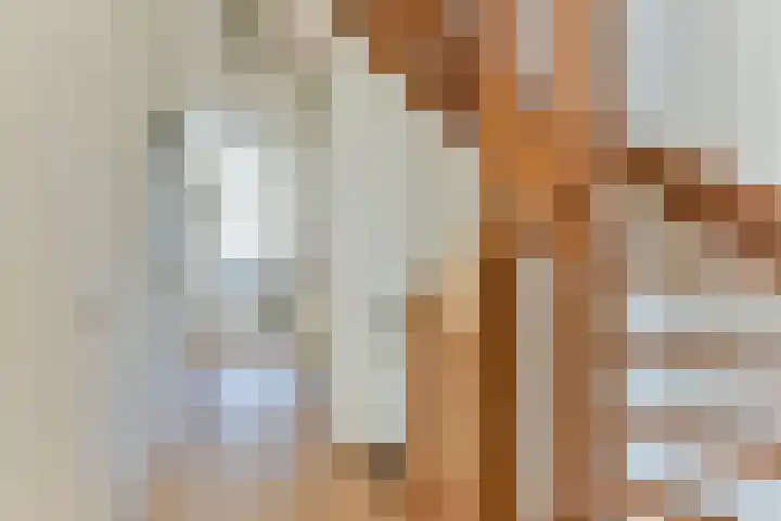 Singel 50 Odijk thumbnail 40