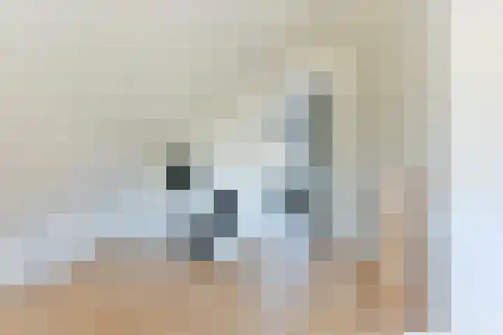 Singel 50 Odijk thumbnail 42