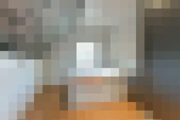 Singel 50 Odijk thumbnail 43