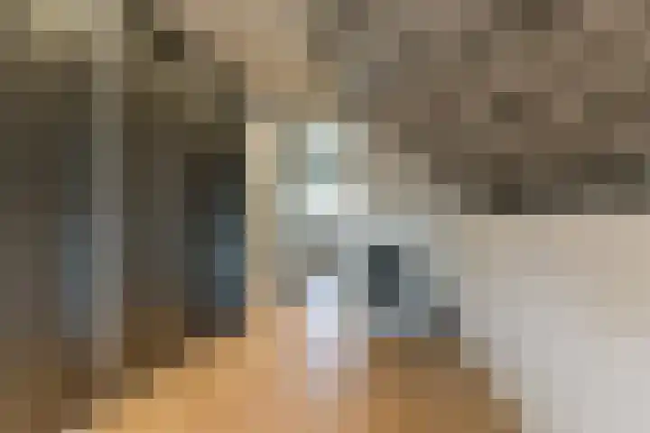 Singel 50 Odijk thumbnail 44