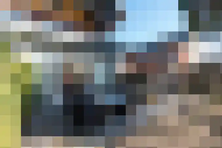 Singel 50 Odijk thumbnail 46