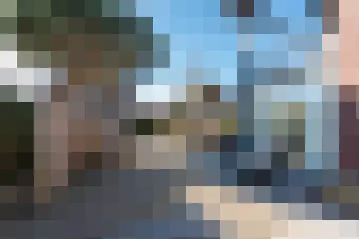 Singel 50 Odijk thumbnail 52