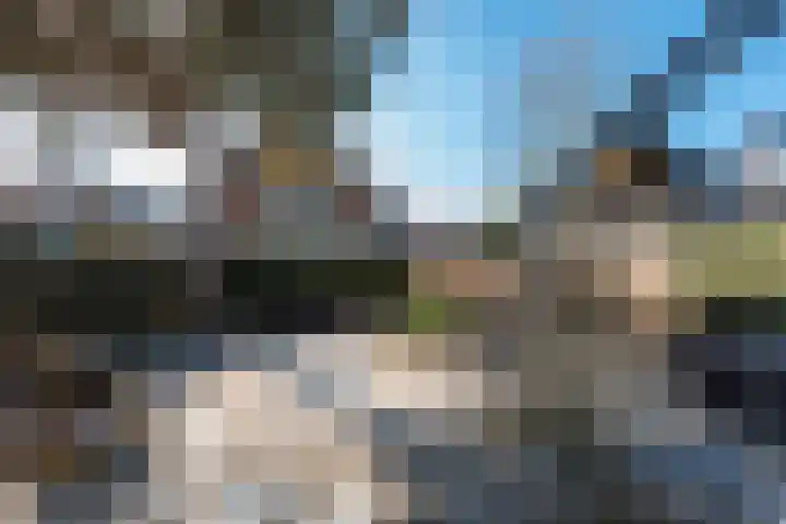 Singel 50 Odijk thumbnail 7