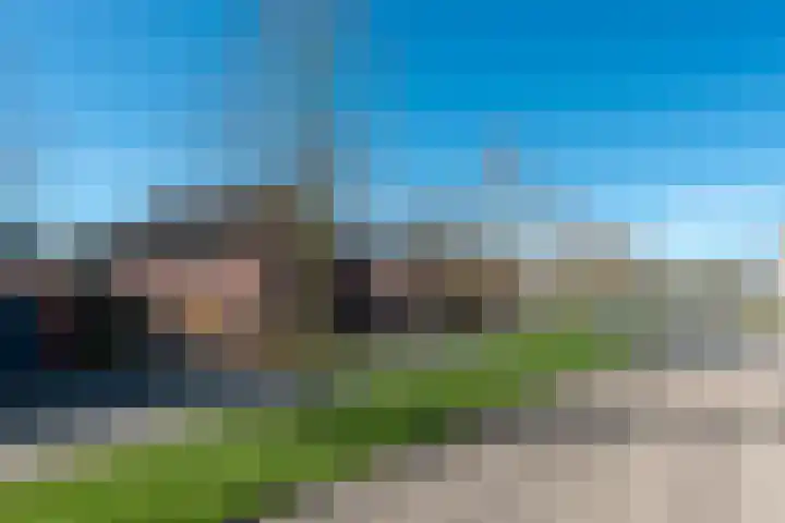 Singel 50 Odijk thumbnail 8
