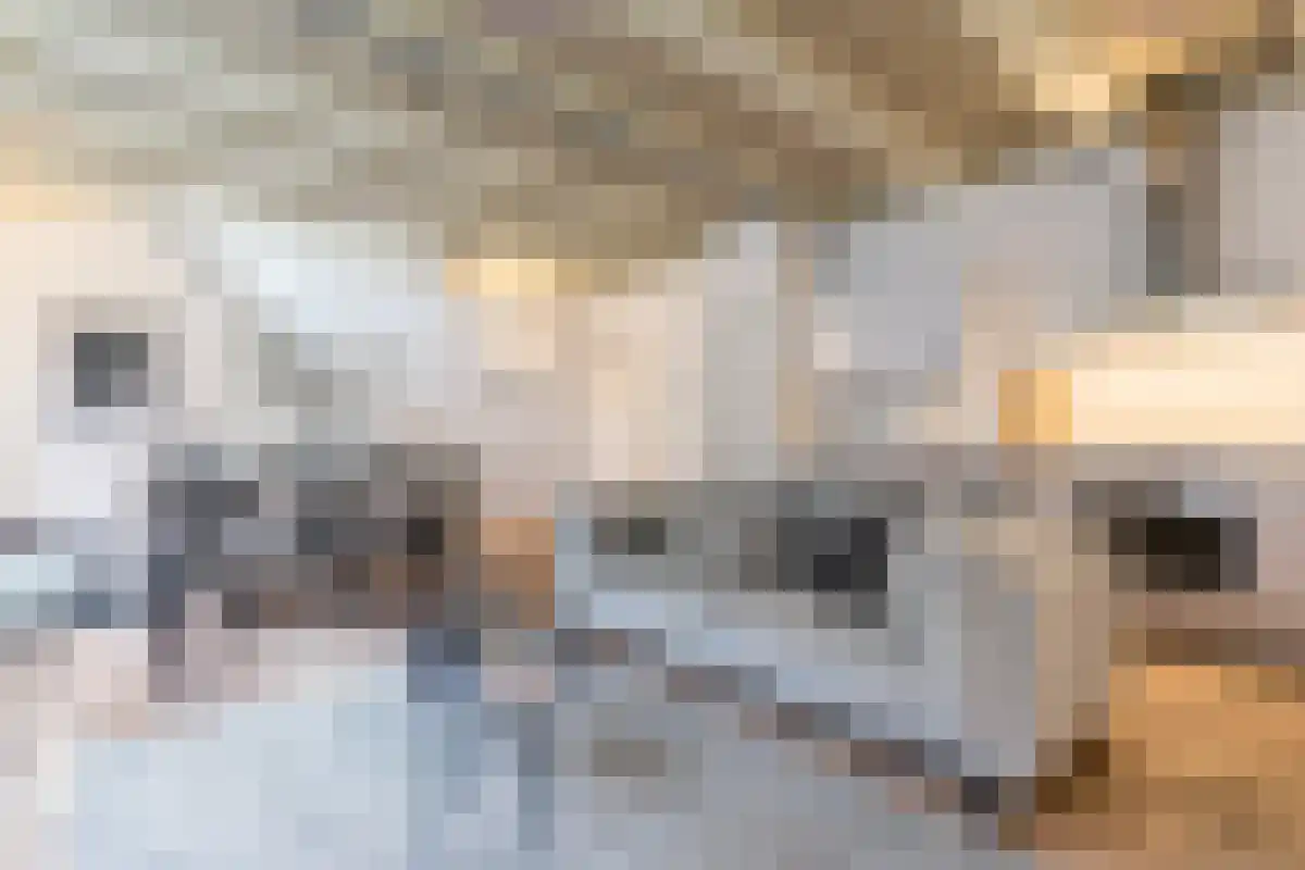 Singel 500 Amsterdam thumbnail 5