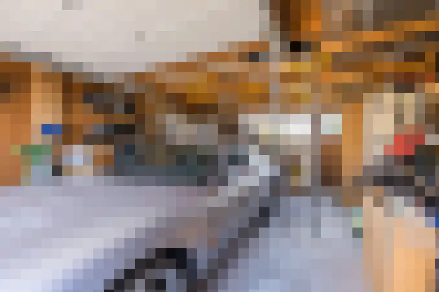 Singel 51 Ulrum thumbnail 14