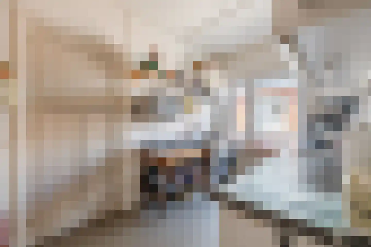 Singel 51 Ulrum thumbnail 22