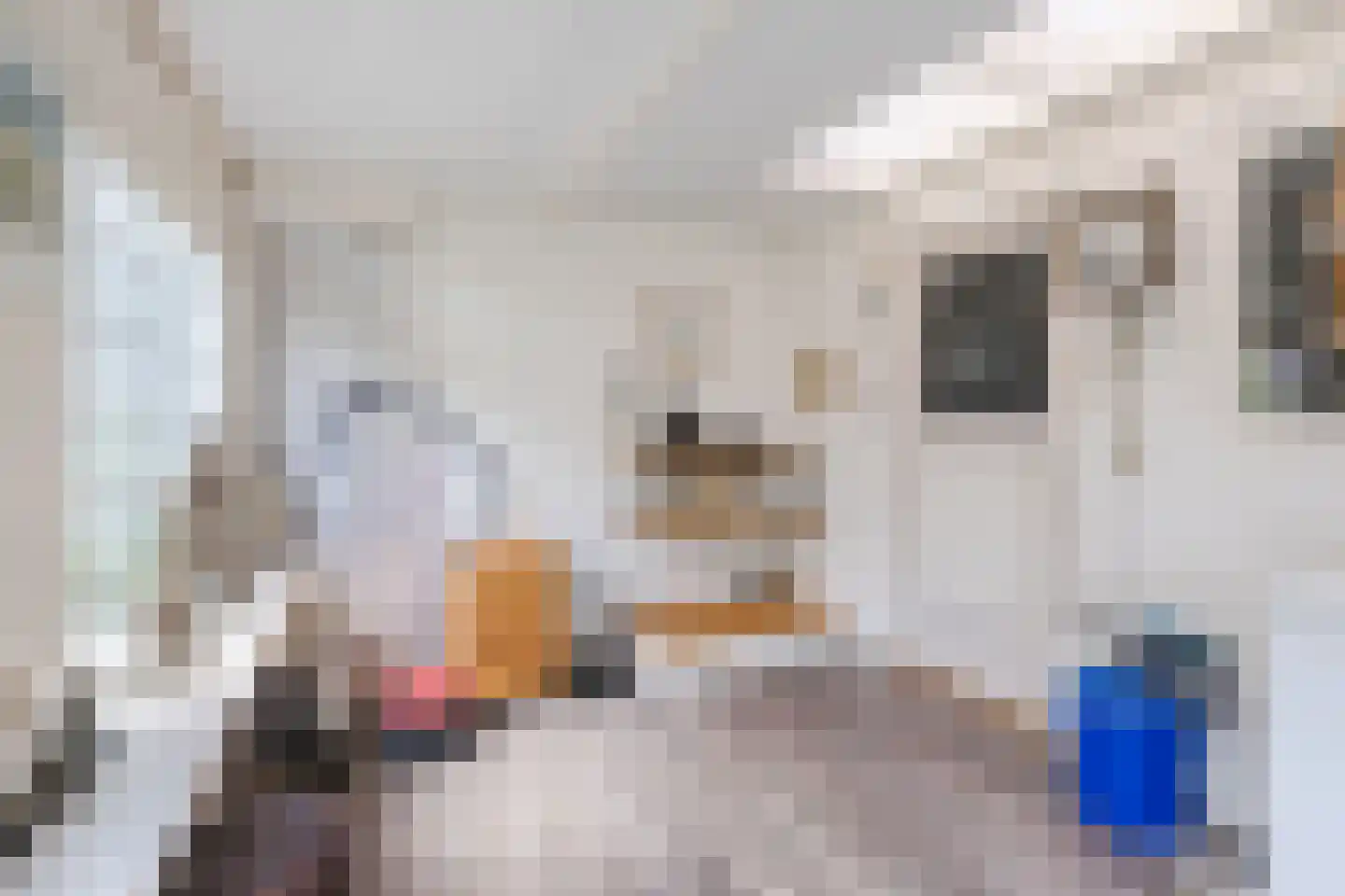 Singel 51 Ulrum thumbnail 29