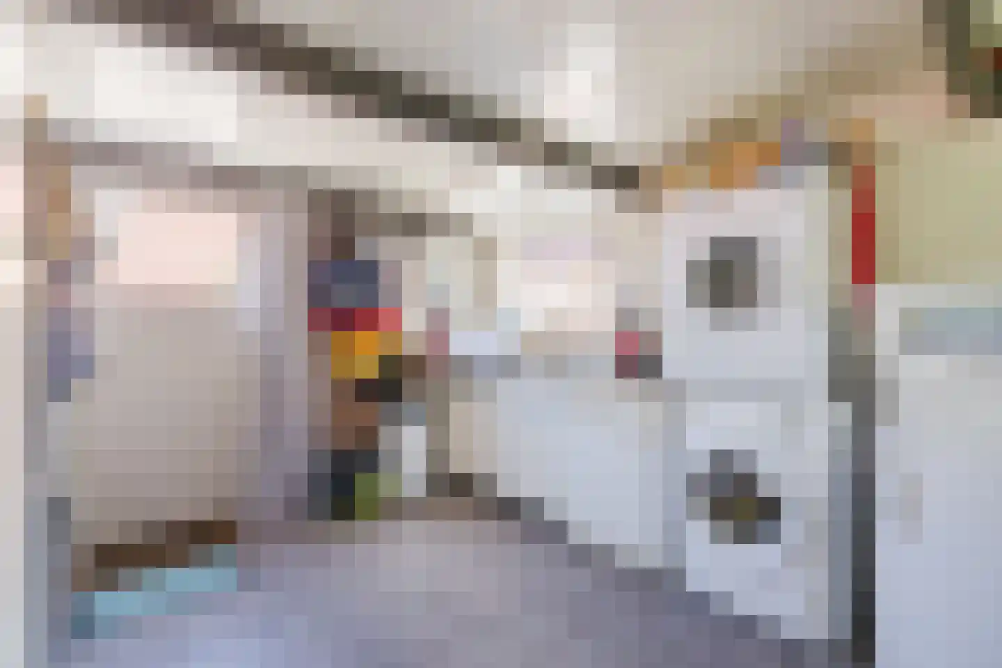 Singel 51 Ulrum thumbnail 30
