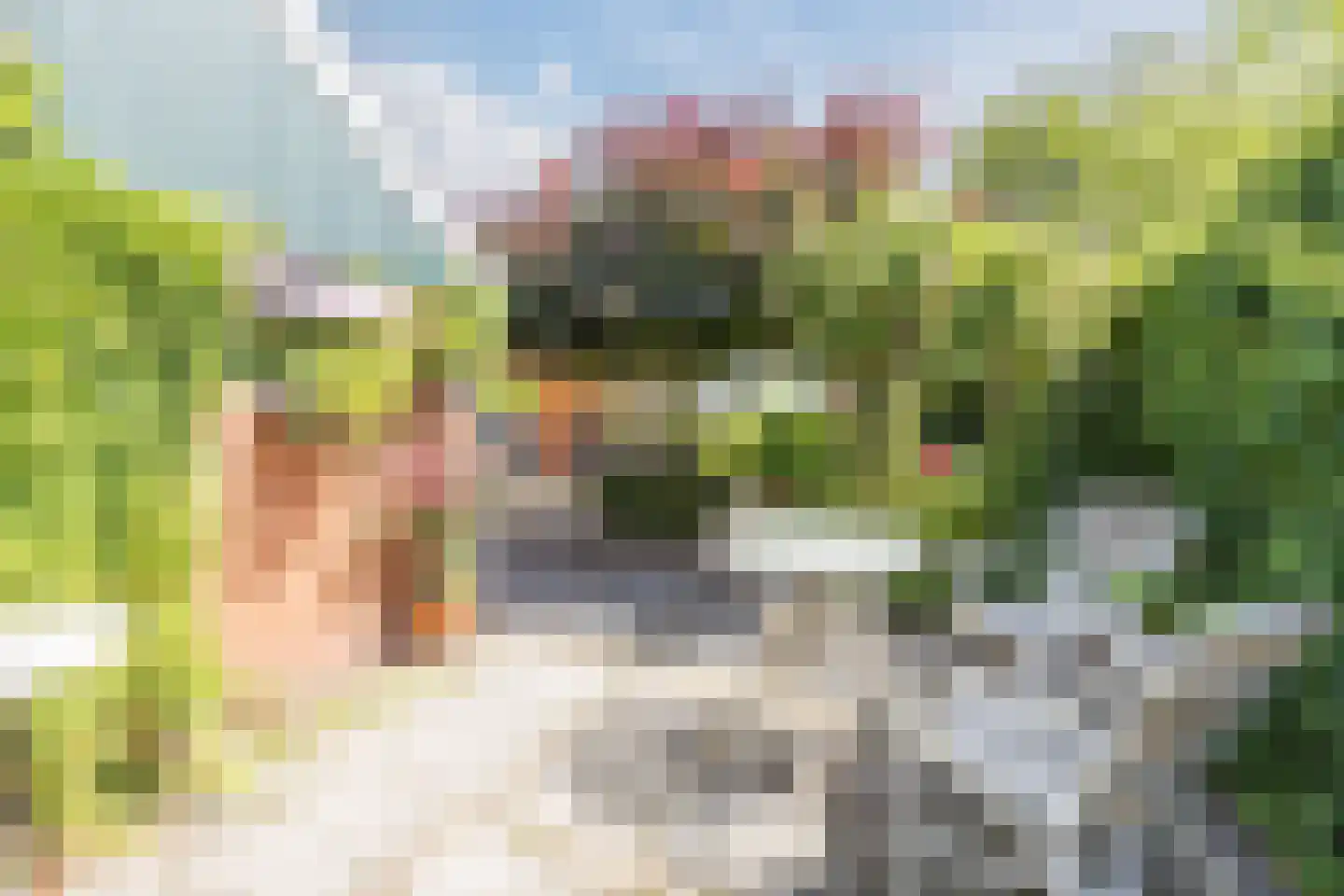 Singel 51 Ulrum thumbnail 52