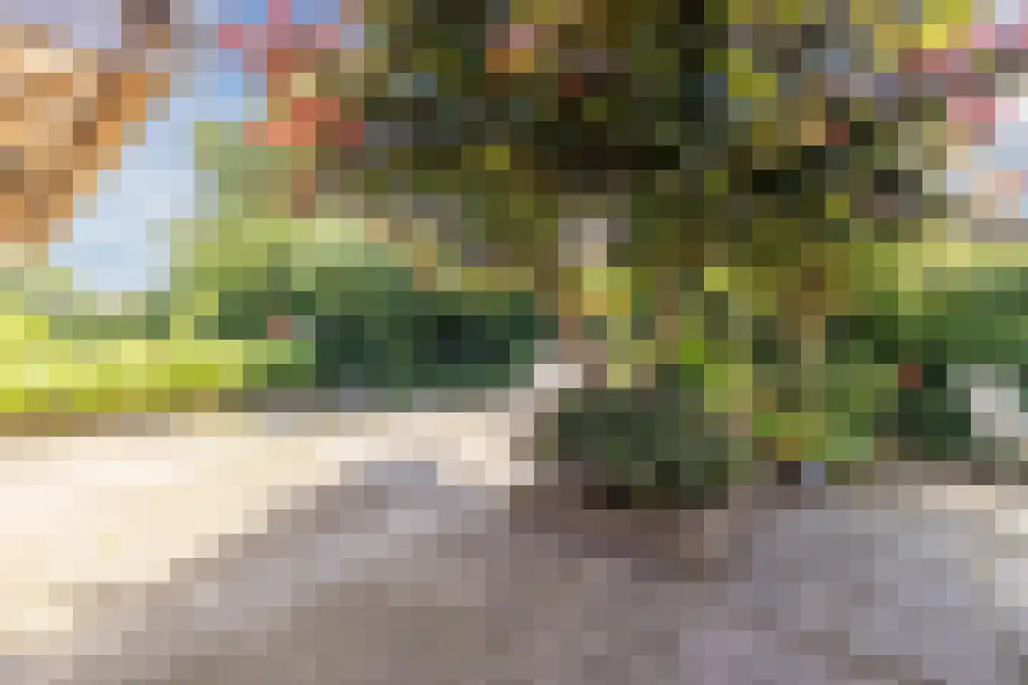 Singel 51 Ulrum thumbnail 53
