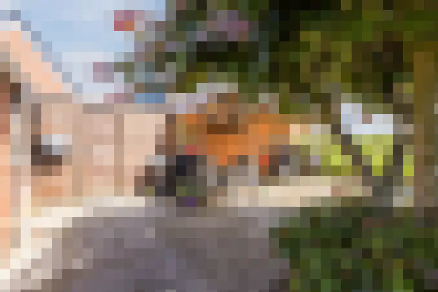 Singel 51 Ulrum thumbnail 55