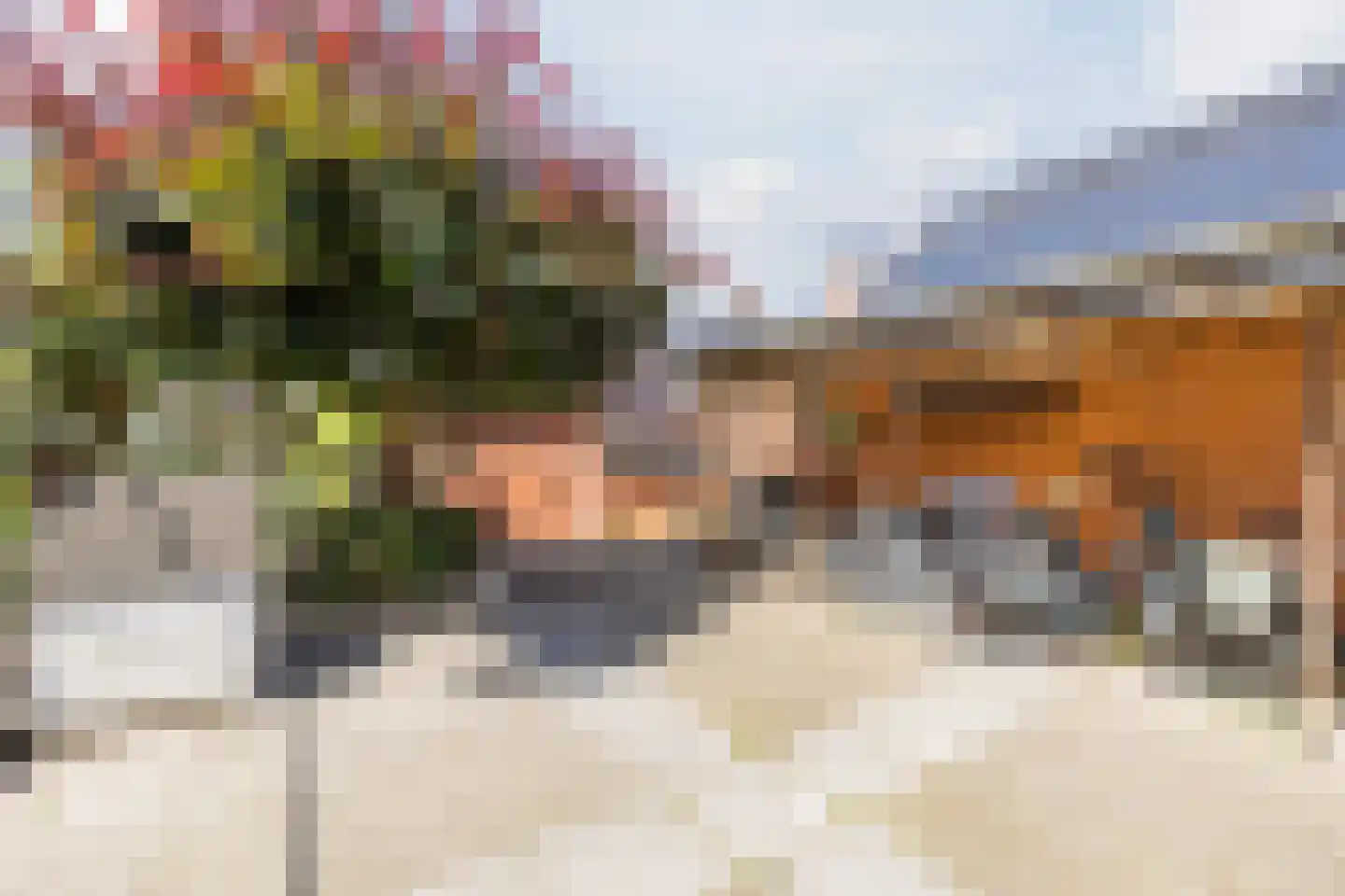 Singel 51 Ulrum thumbnail 57