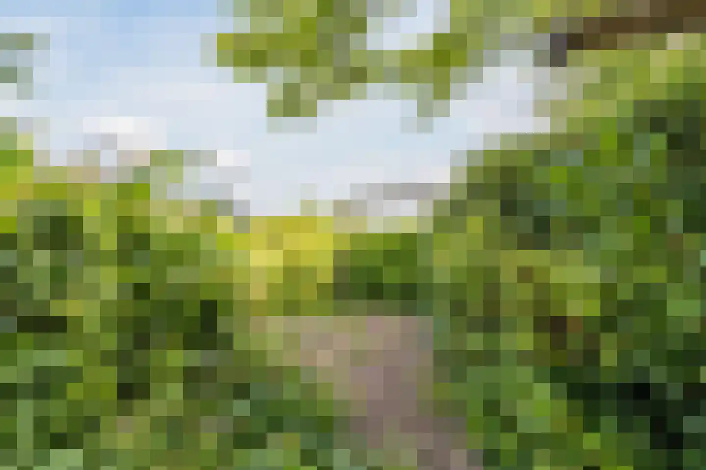 Singel 51 Ulrum thumbnail 59