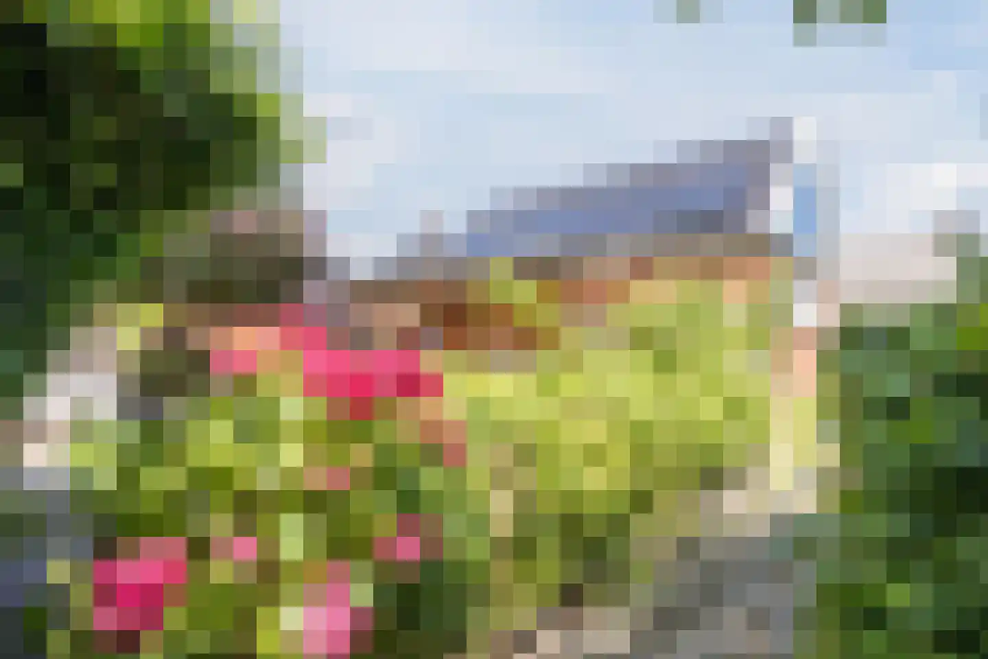 Singel 51 Ulrum thumbnail 60