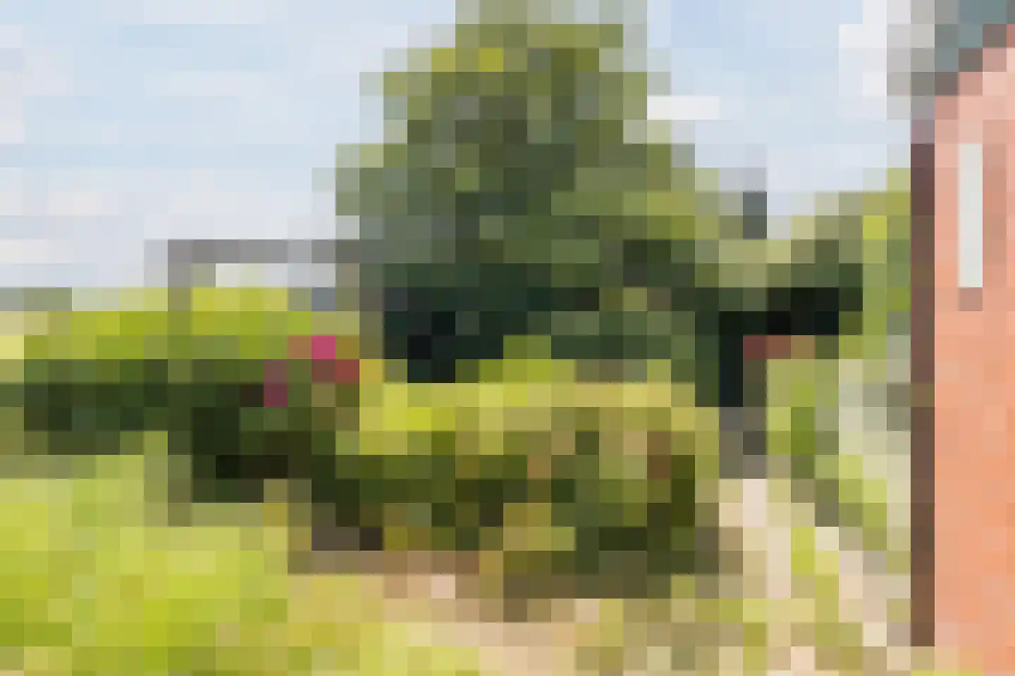 Singel 51 Ulrum thumbnail 61