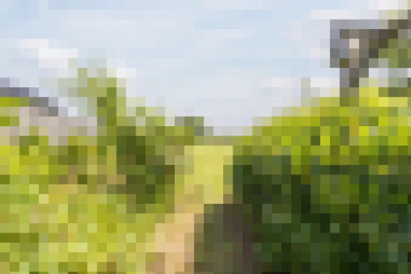 Singel 51 Ulrum thumbnail 62