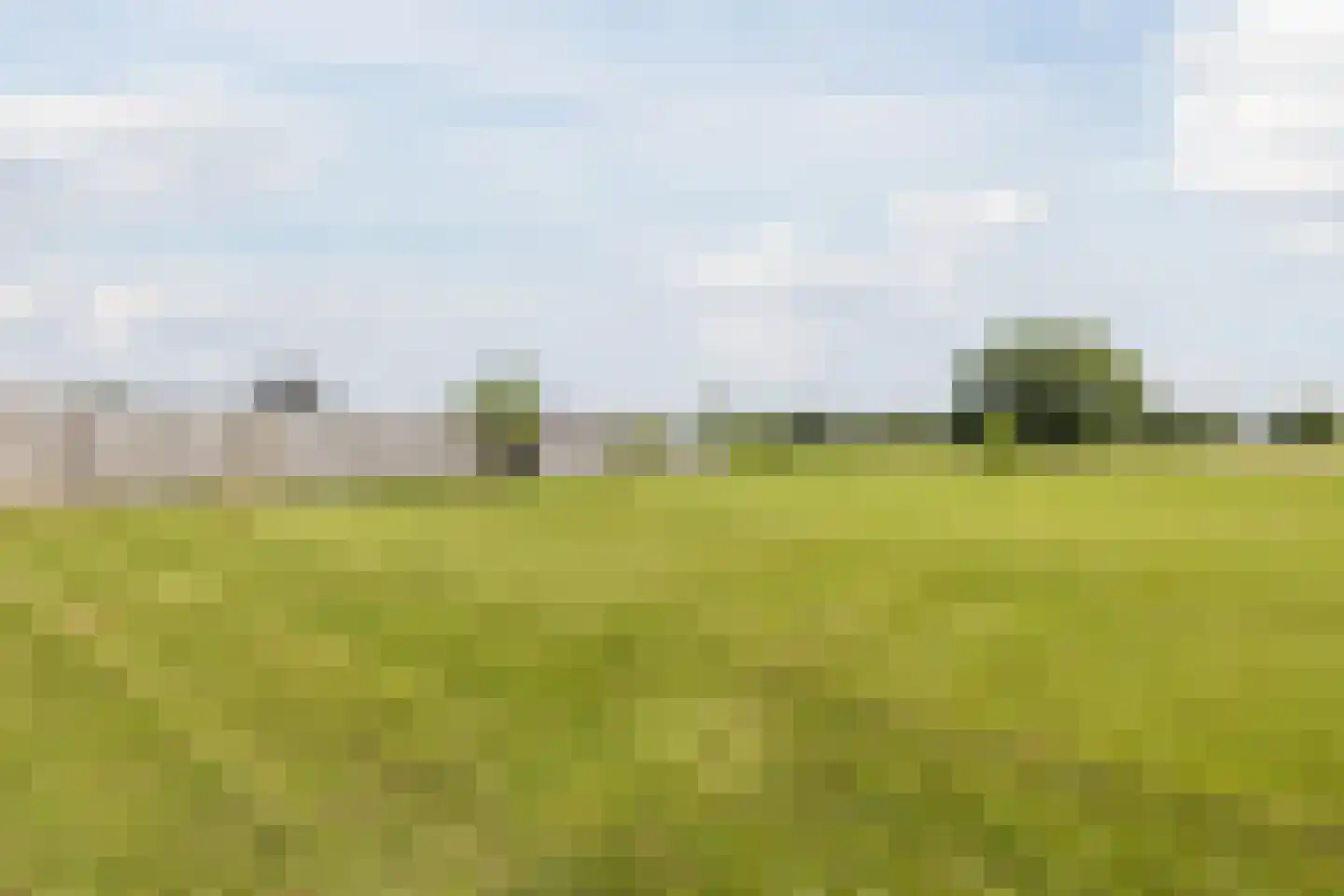 Singel 51 Ulrum thumbnail 66
