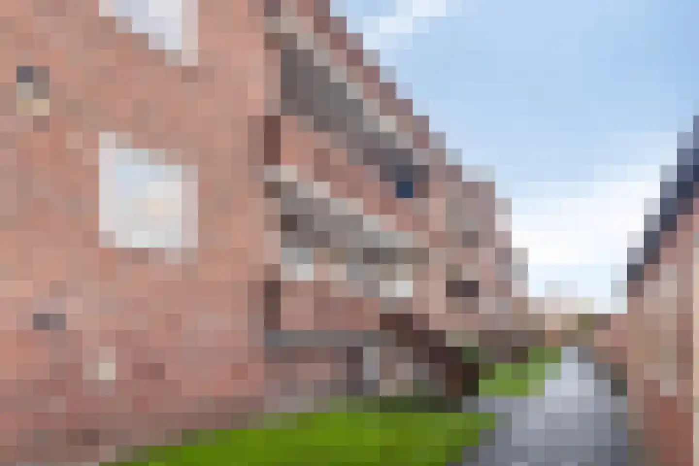 Singel 51 Vlissingen thumbnail 24