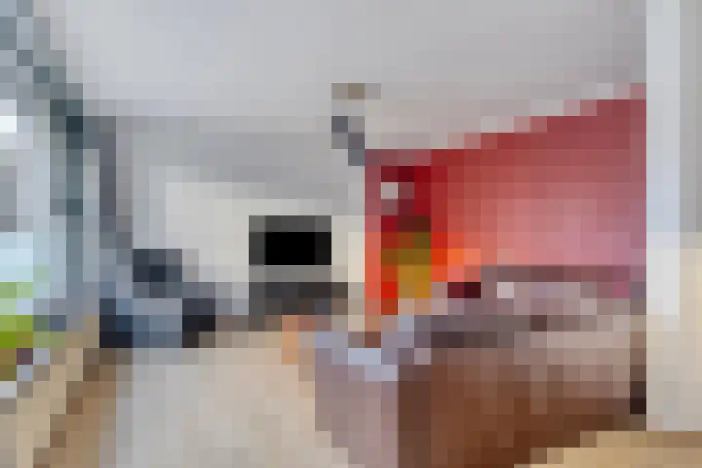 Singel 51 Vlissingen thumbnail 6