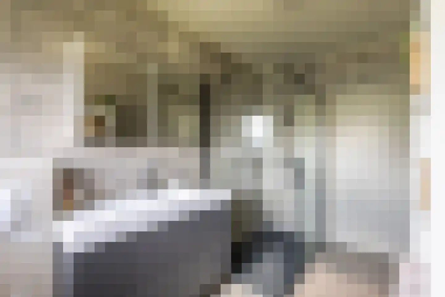 Singel 51 Westdorpe thumbnail 23
