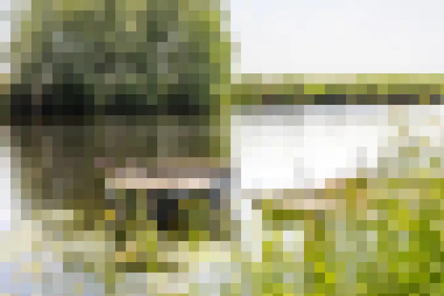 Singel 51 Westdorpe thumbnail 41