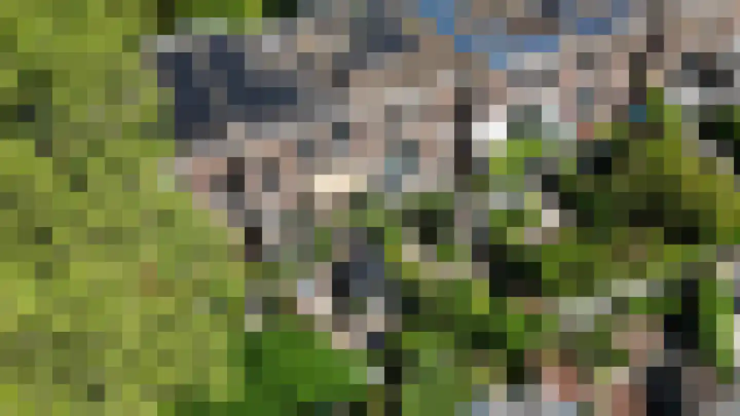 Singel 520 Dordrecht thumbnail 43