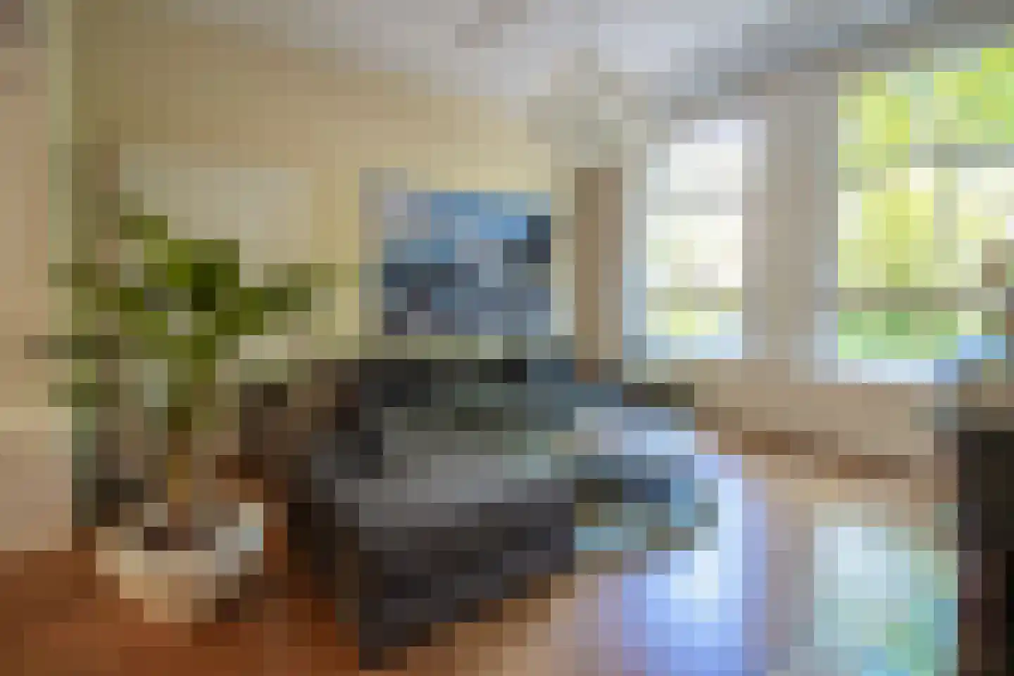 Singel 520 Dordrecht thumbnail 9
