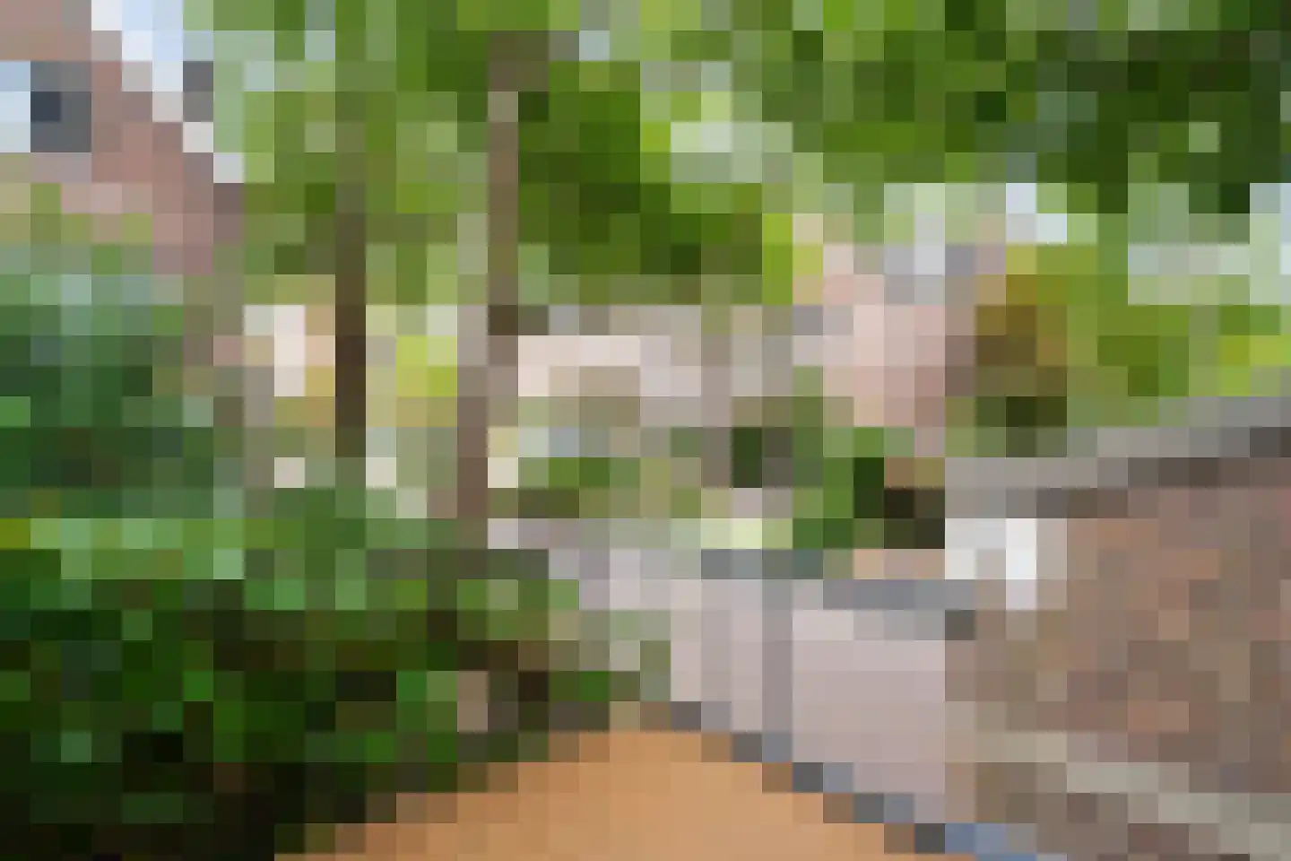 Singel 522 Dordrecht thumbnail 47