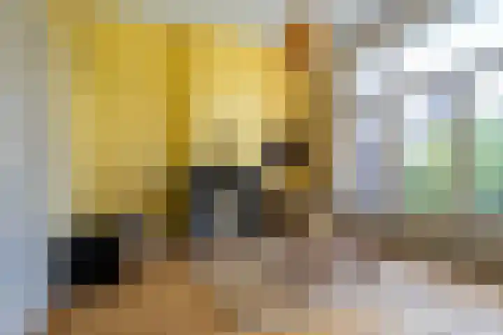 Singel 530 Dordrecht thumbnail 34