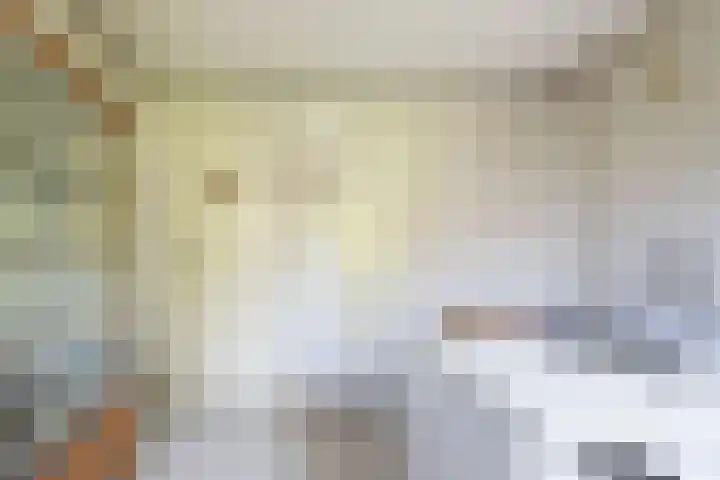 Singel 530 Dordrecht thumbnail 37