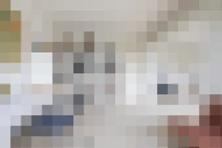 Singel 530 Dordrecht thumbnail 43