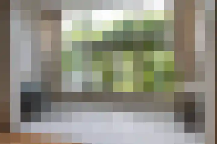 Singel 530 Dordrecht thumbnail 6