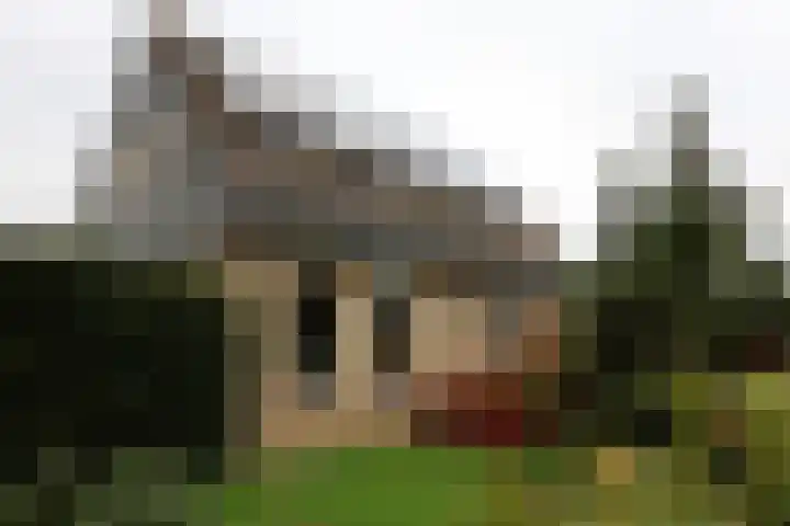 Singel 54 Nijland thumbnail 33