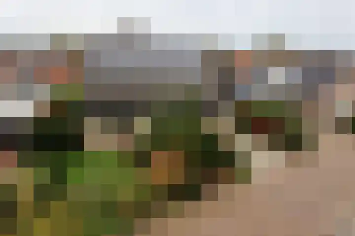 Singel 54 Nijland thumbnail 34