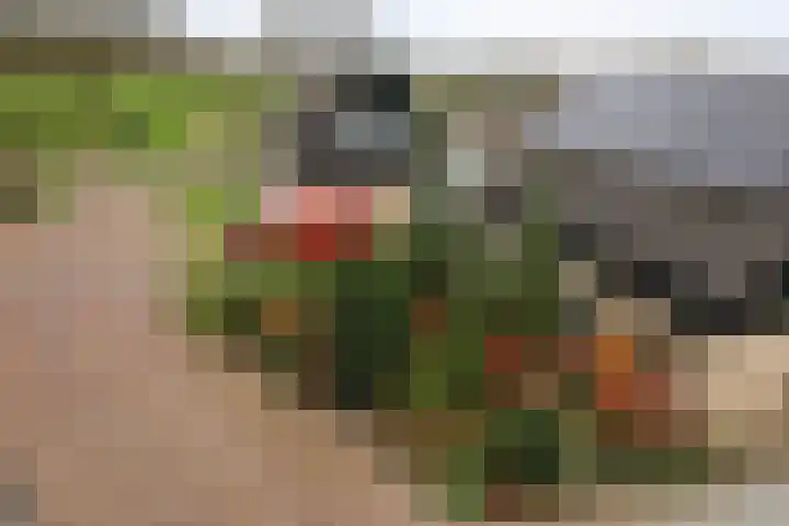 Singel 54 Nijland thumbnail 35