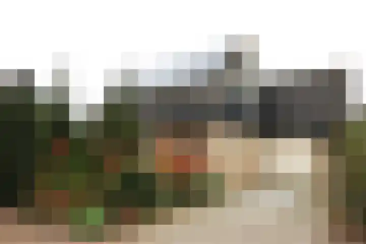 Singel 54 Nijland thumbnail 4