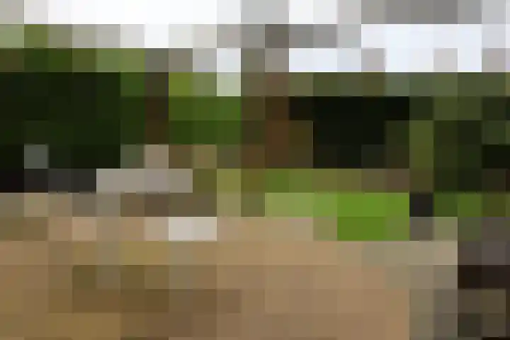 Singel 54 Nijland thumbnail 5